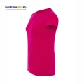 tsrlcmf 145 raspberry b.png