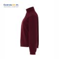 flrl 300 burgundy b.png