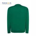 swra 290 kelly green c.png