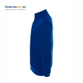 swrazip royal blue b.png