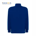 swrazip royal blue c.png