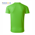 koszukla męska destiny 175 ciemnoszary green apple c.png